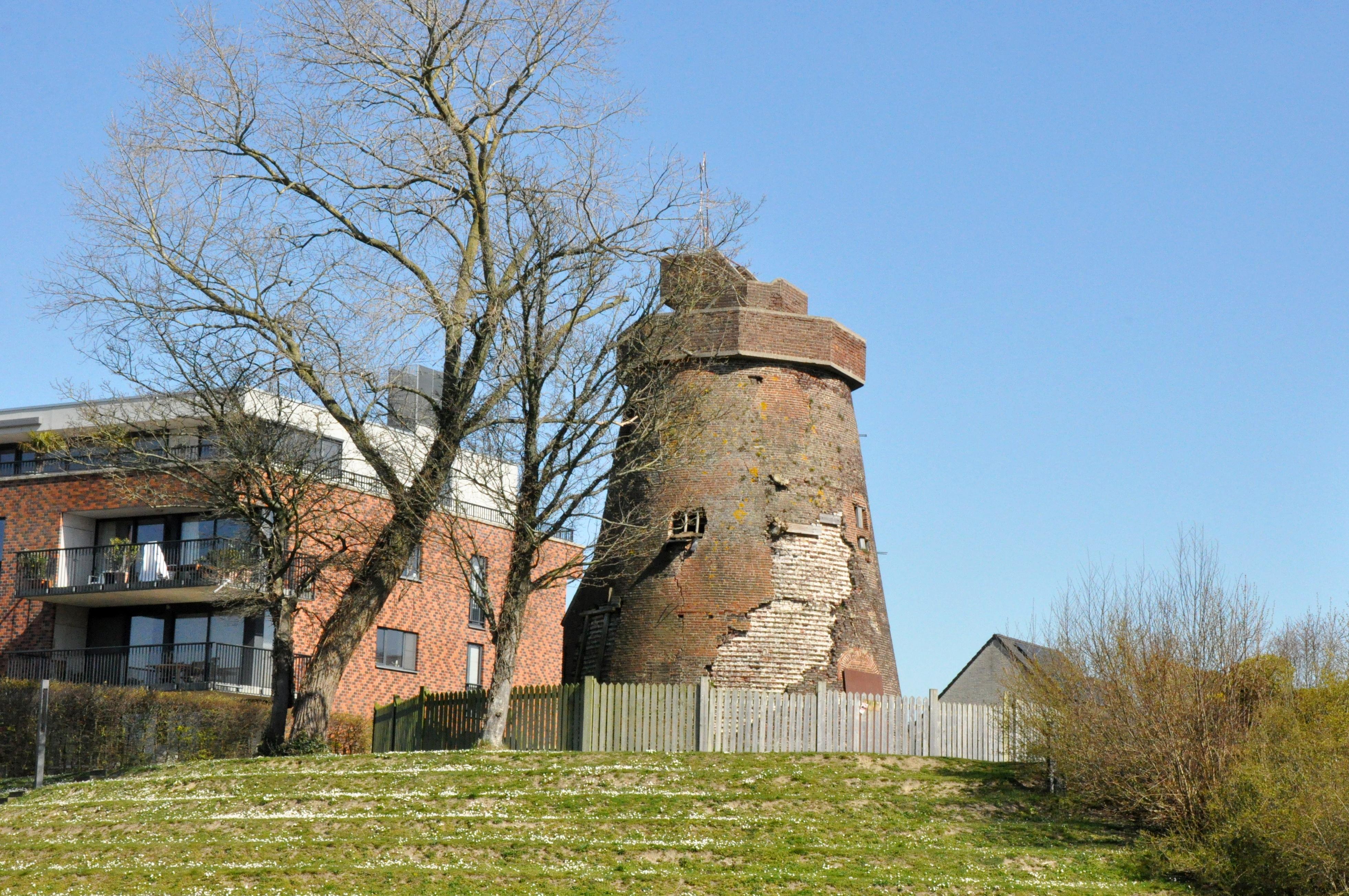 Teerlingmolen