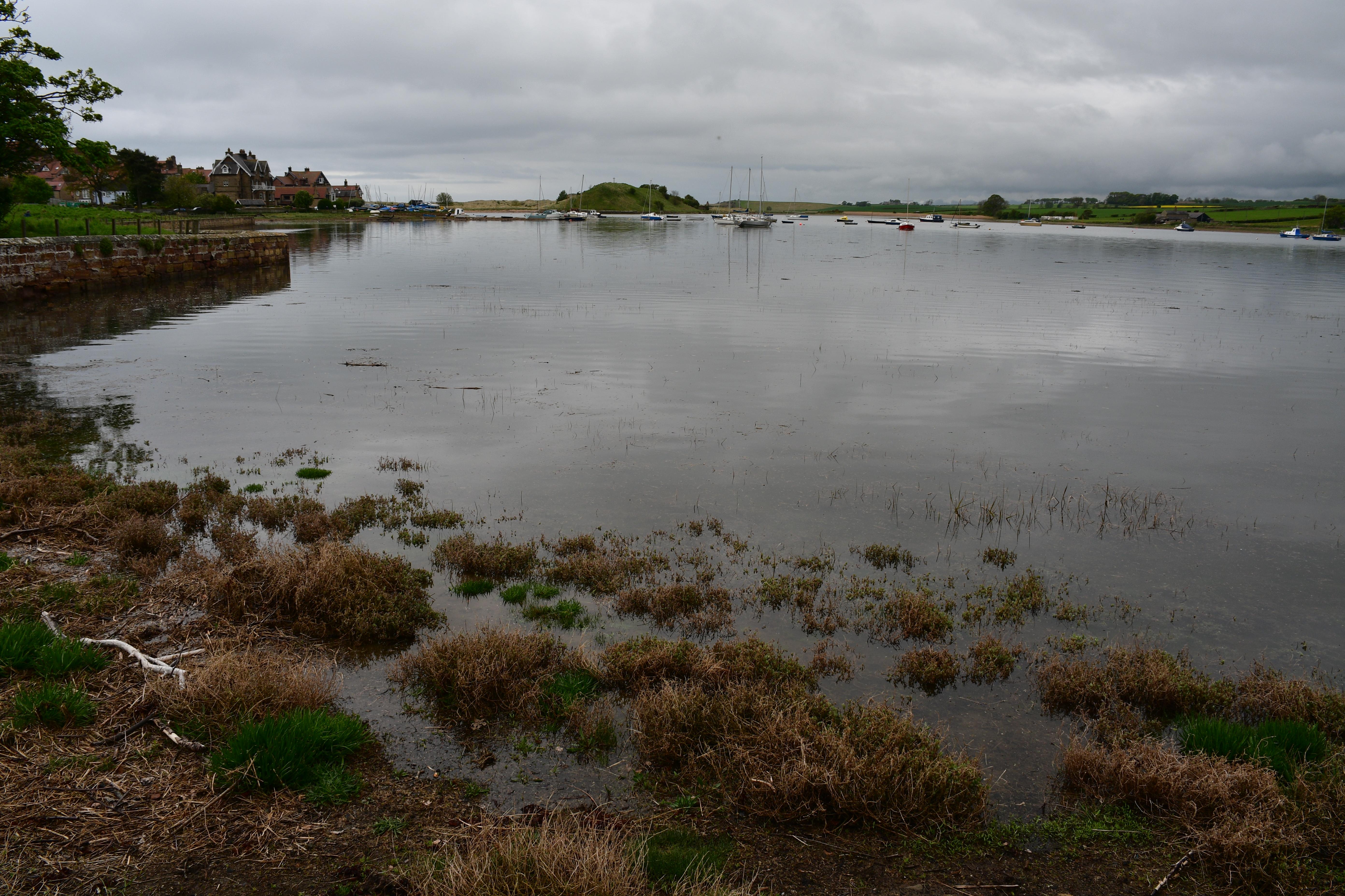 Aln Estuary Marine Conservation Zone