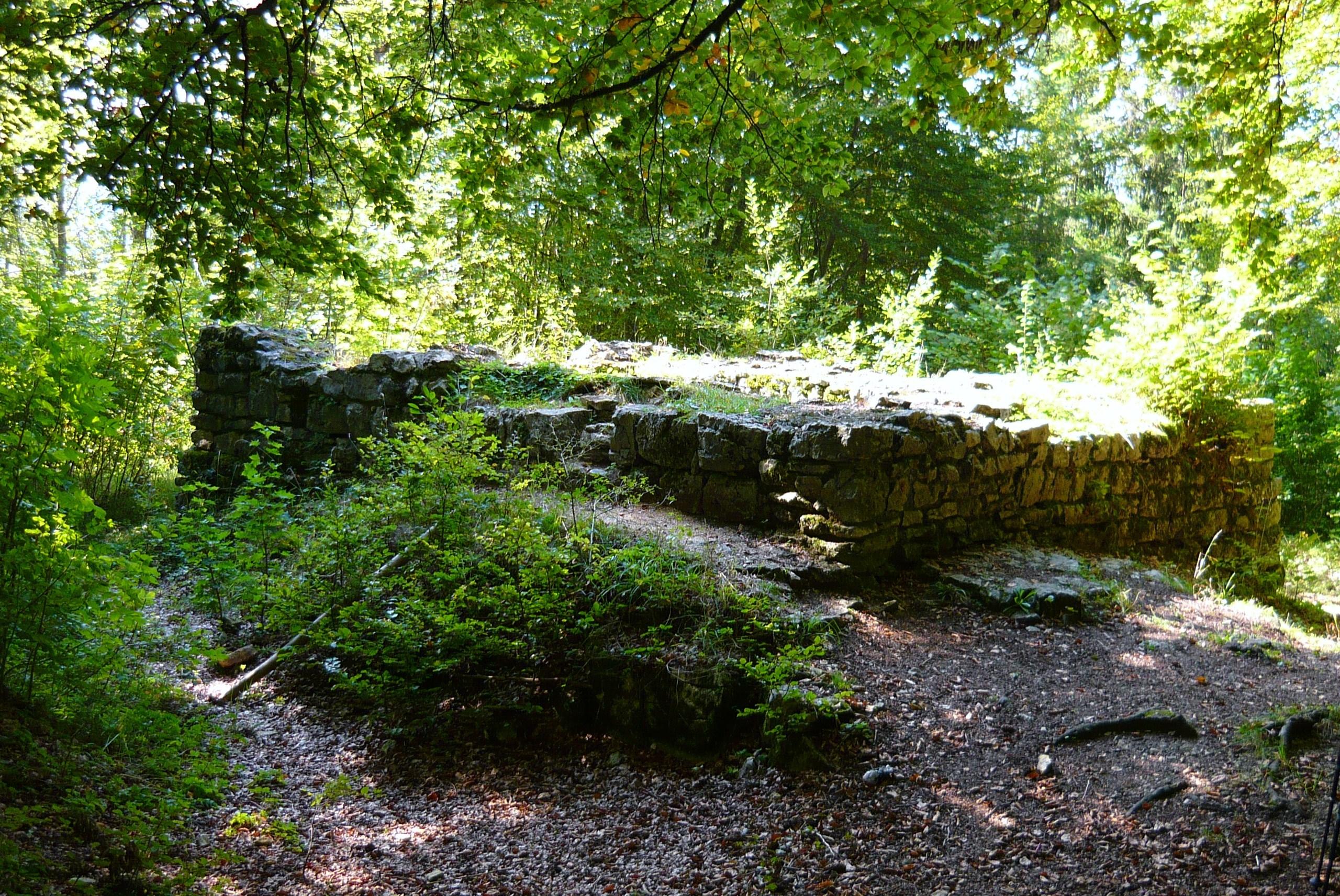 Burgruine Luginsfeld