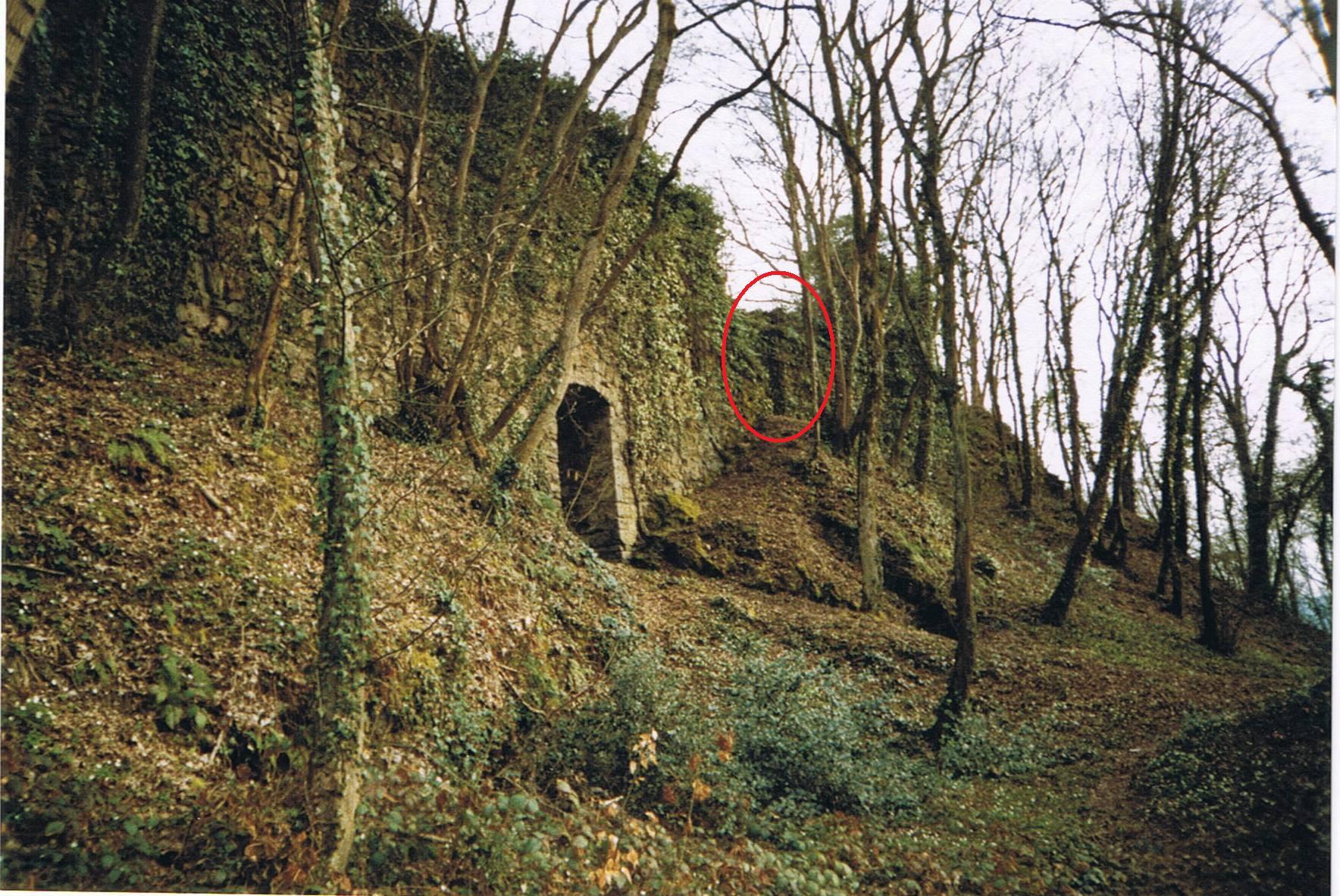 Burg Hauenstein