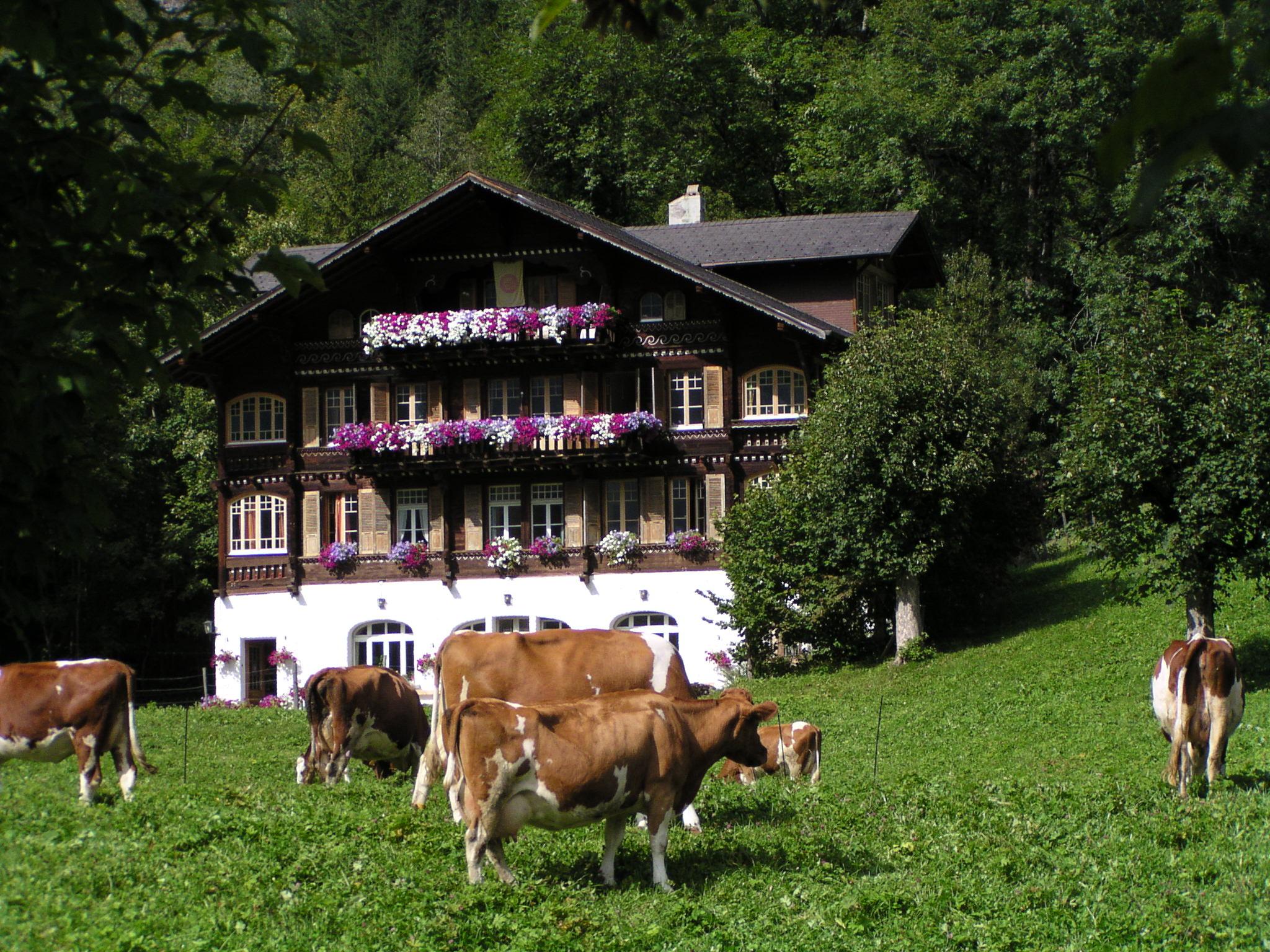 Kloster Dhammapala