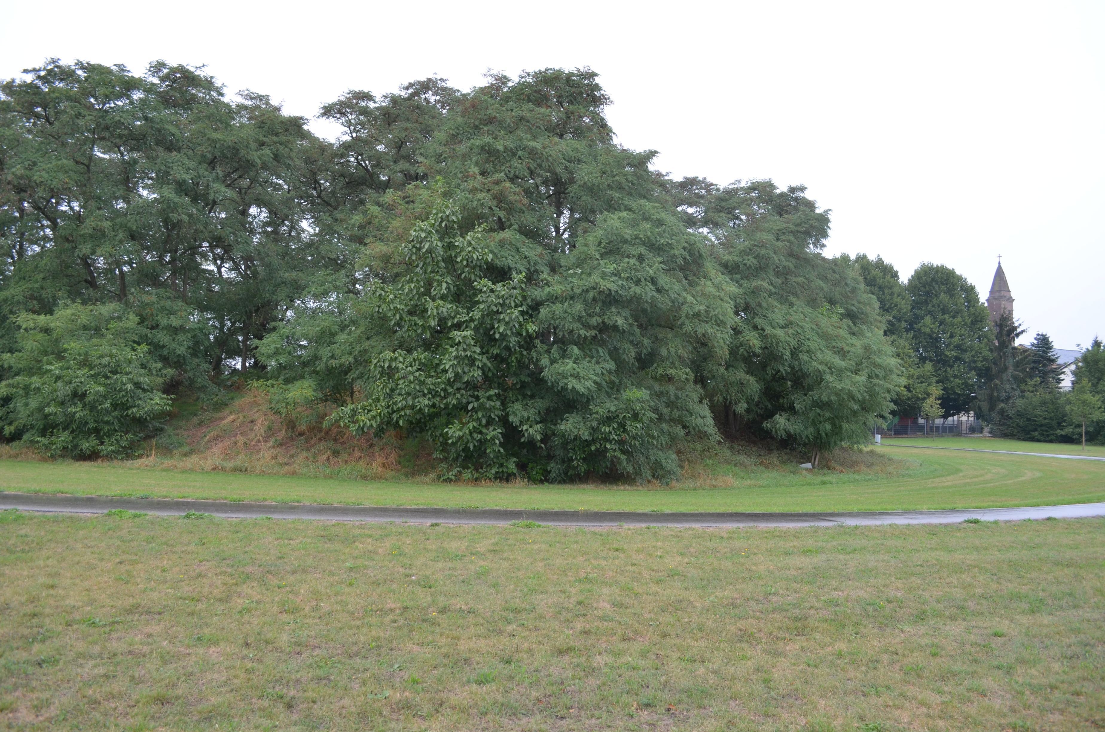 Turmhügel Weiher