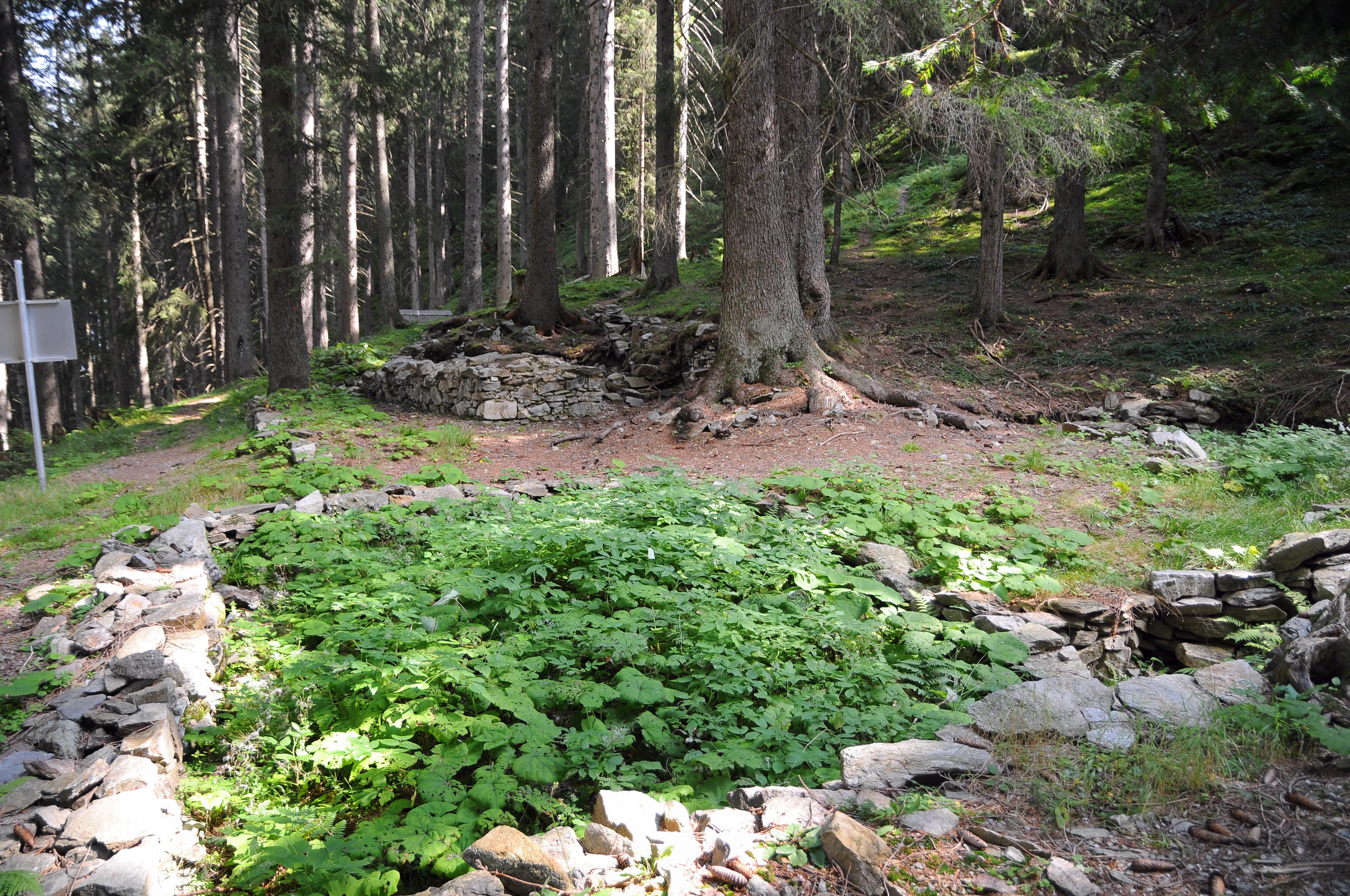 Bruderhusli
