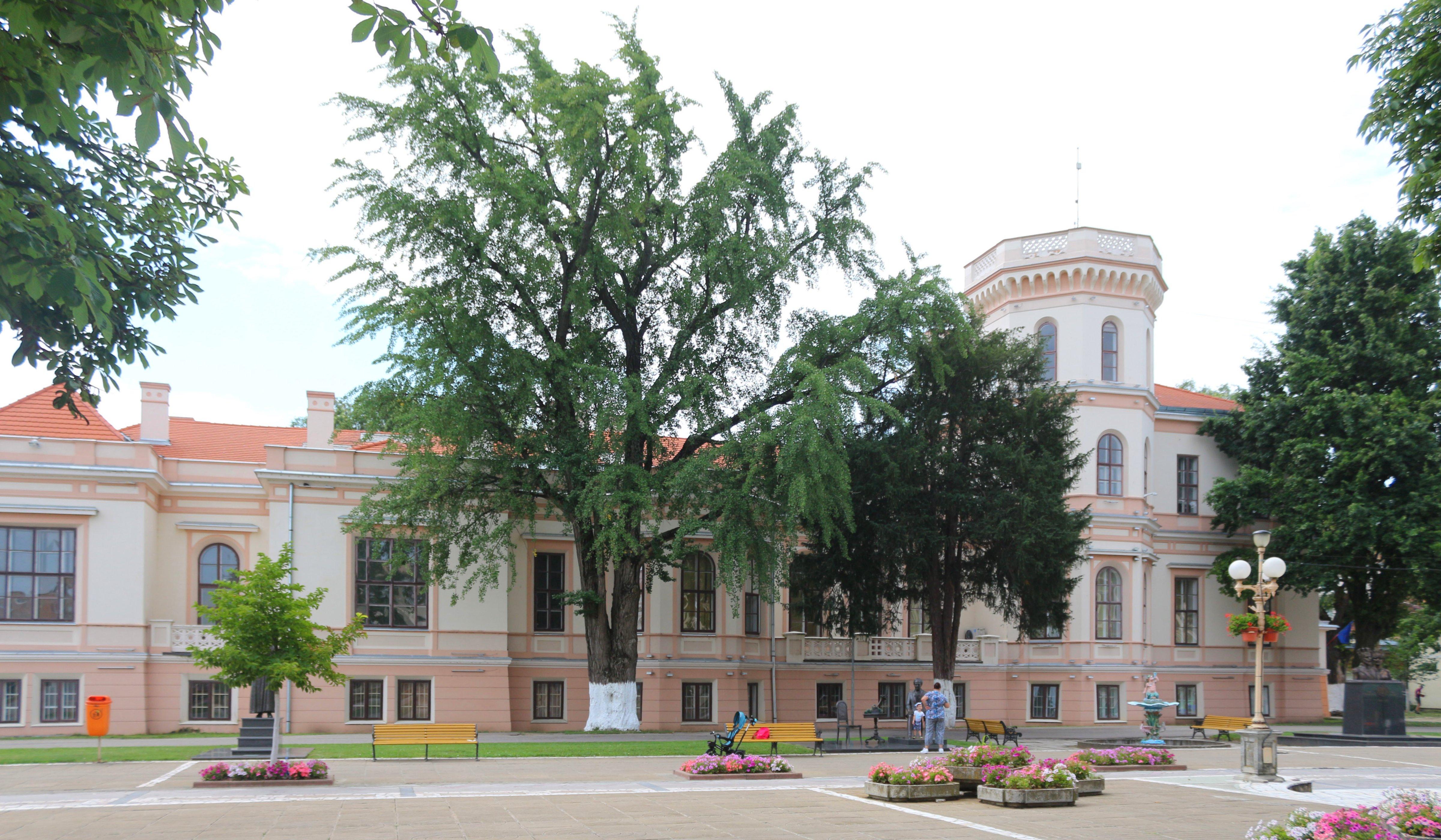 Nako Castle