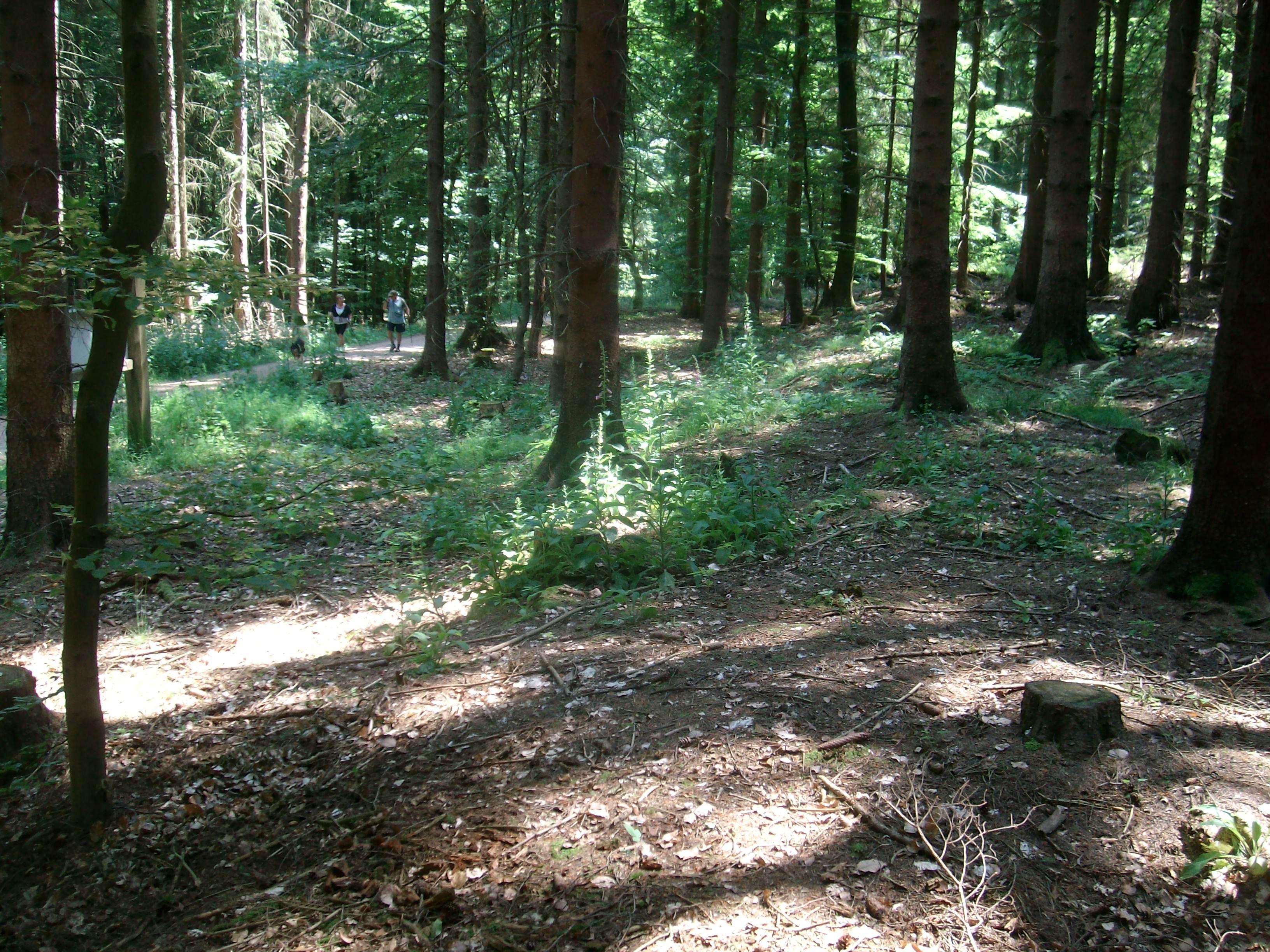Heidekringen