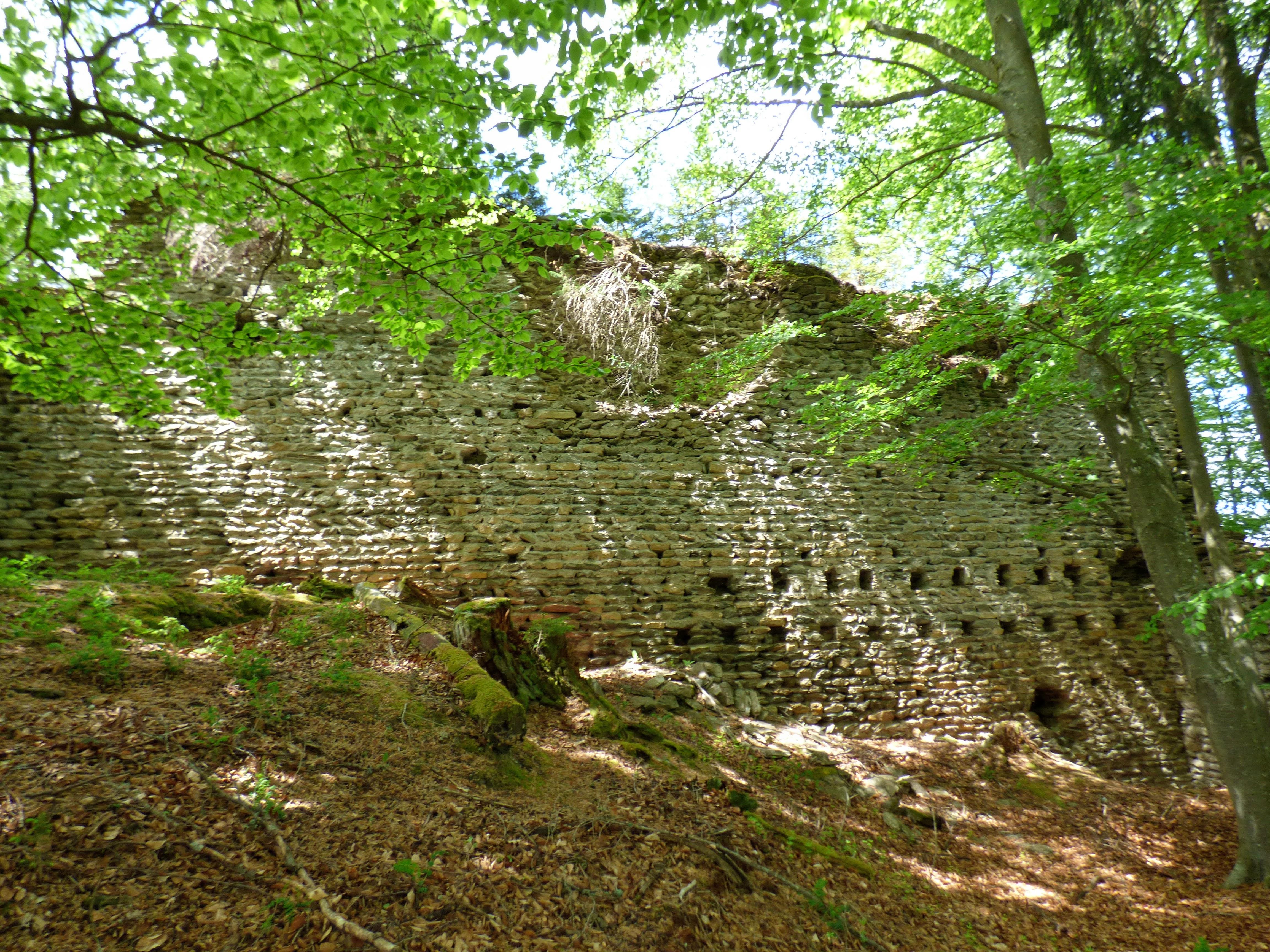 Ruine Rauterburg