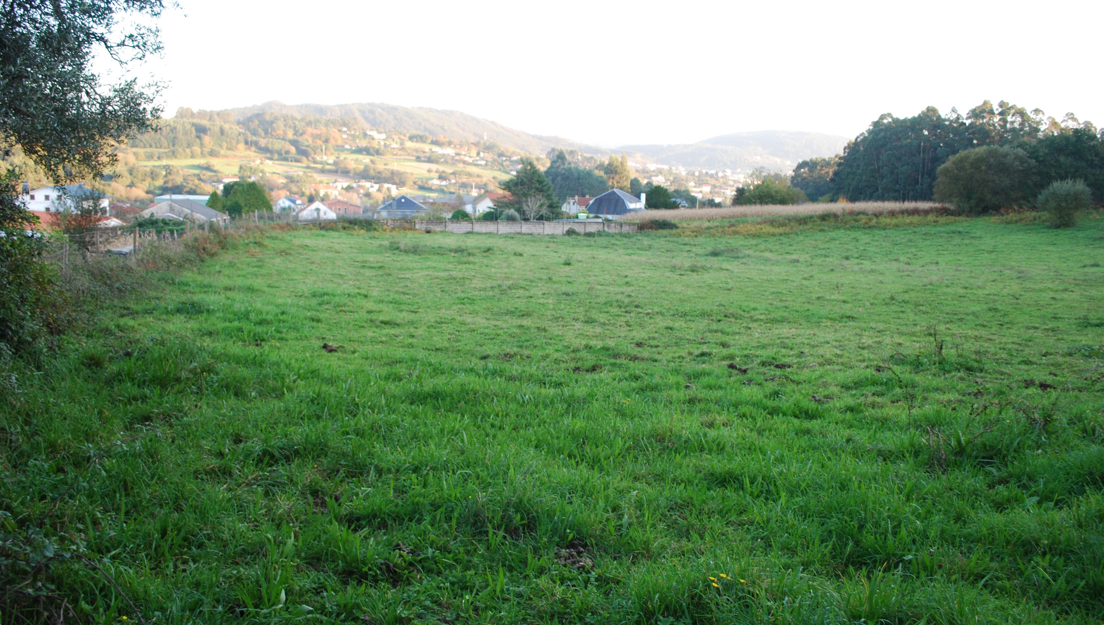 Castro de Castro