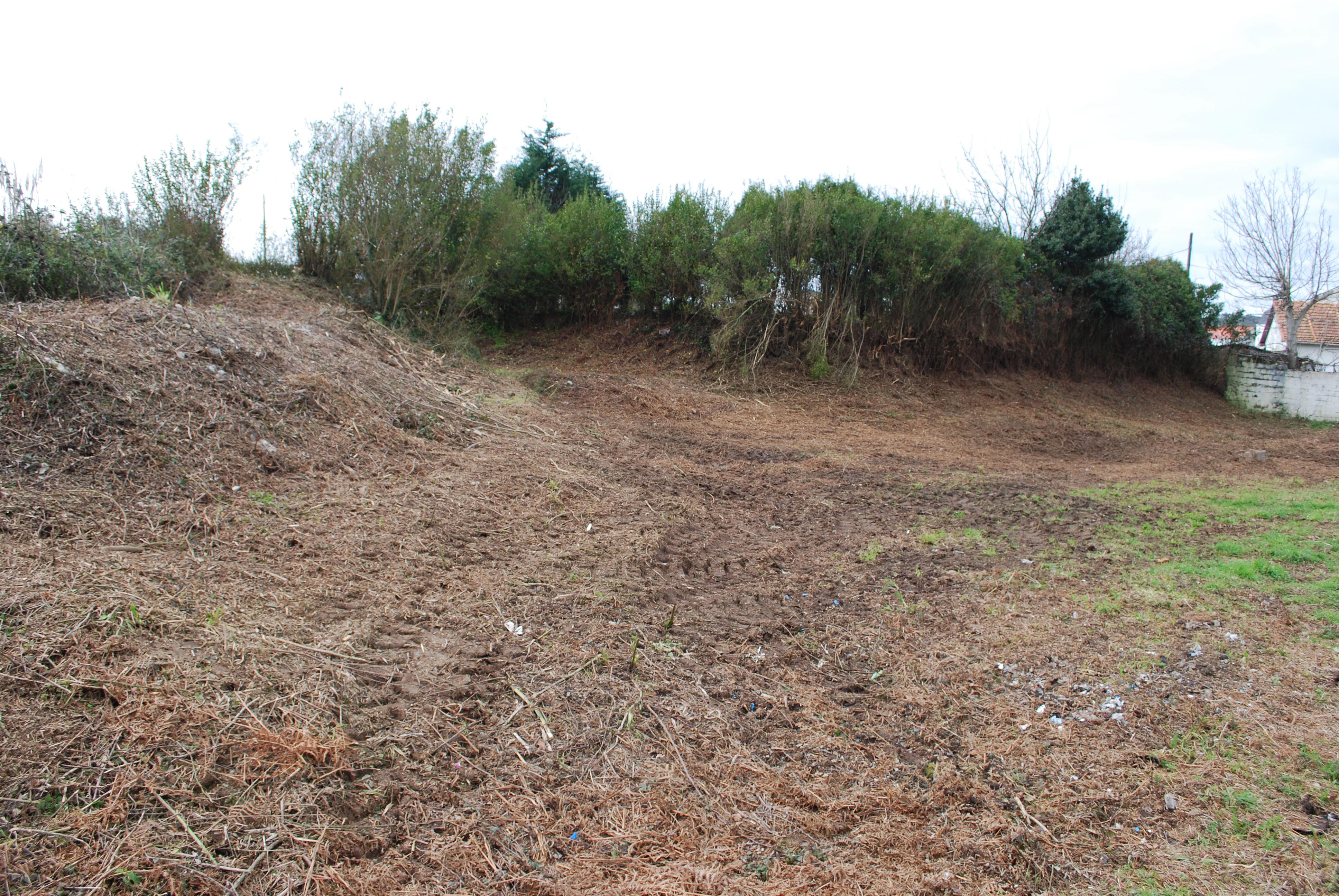 Castro de Santa Marina