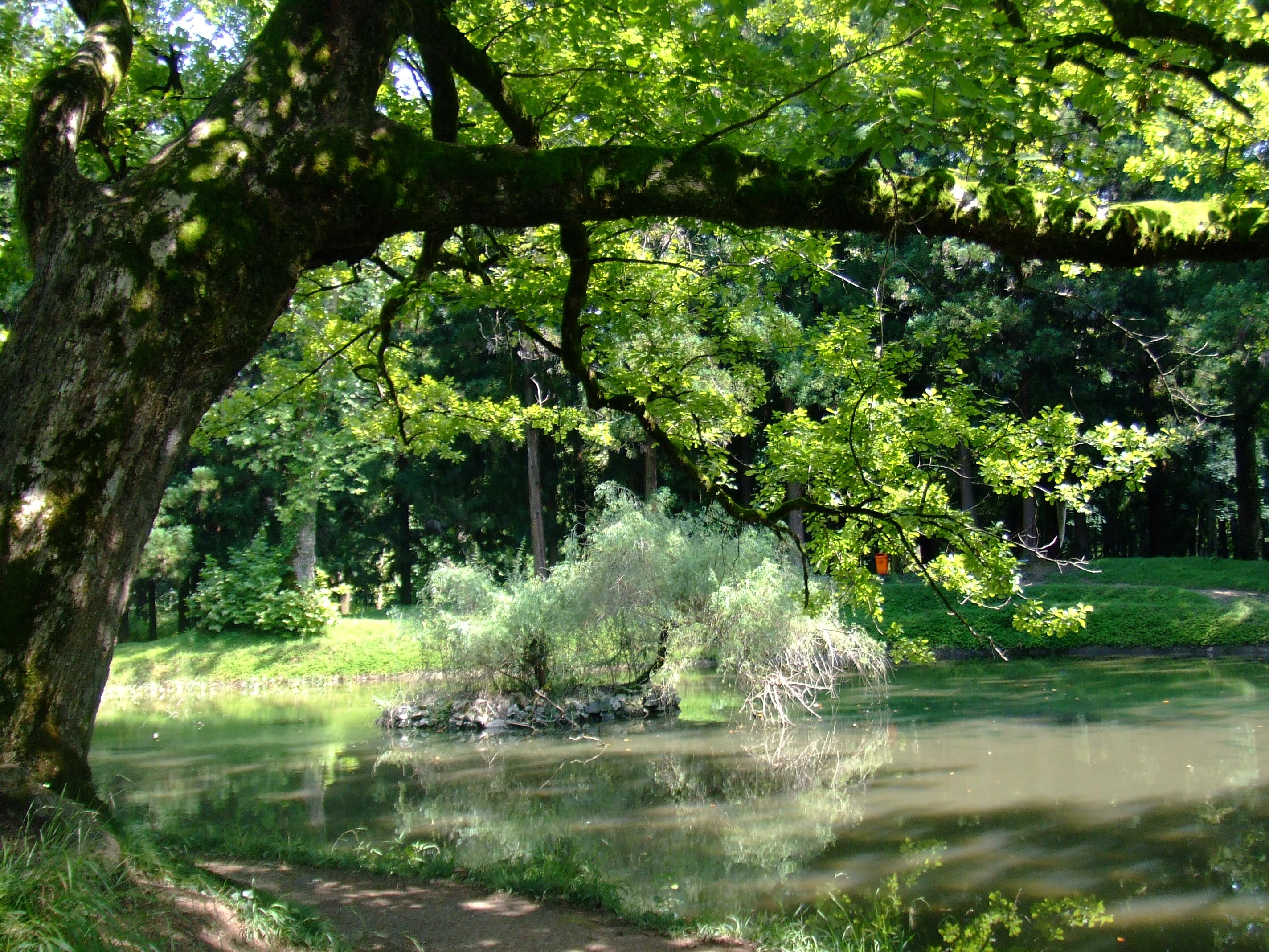 Zugdidi Botanical Garden