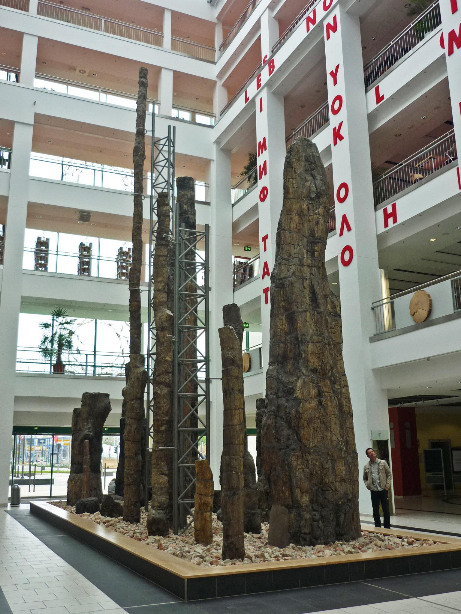 Chemnitz petrified forest