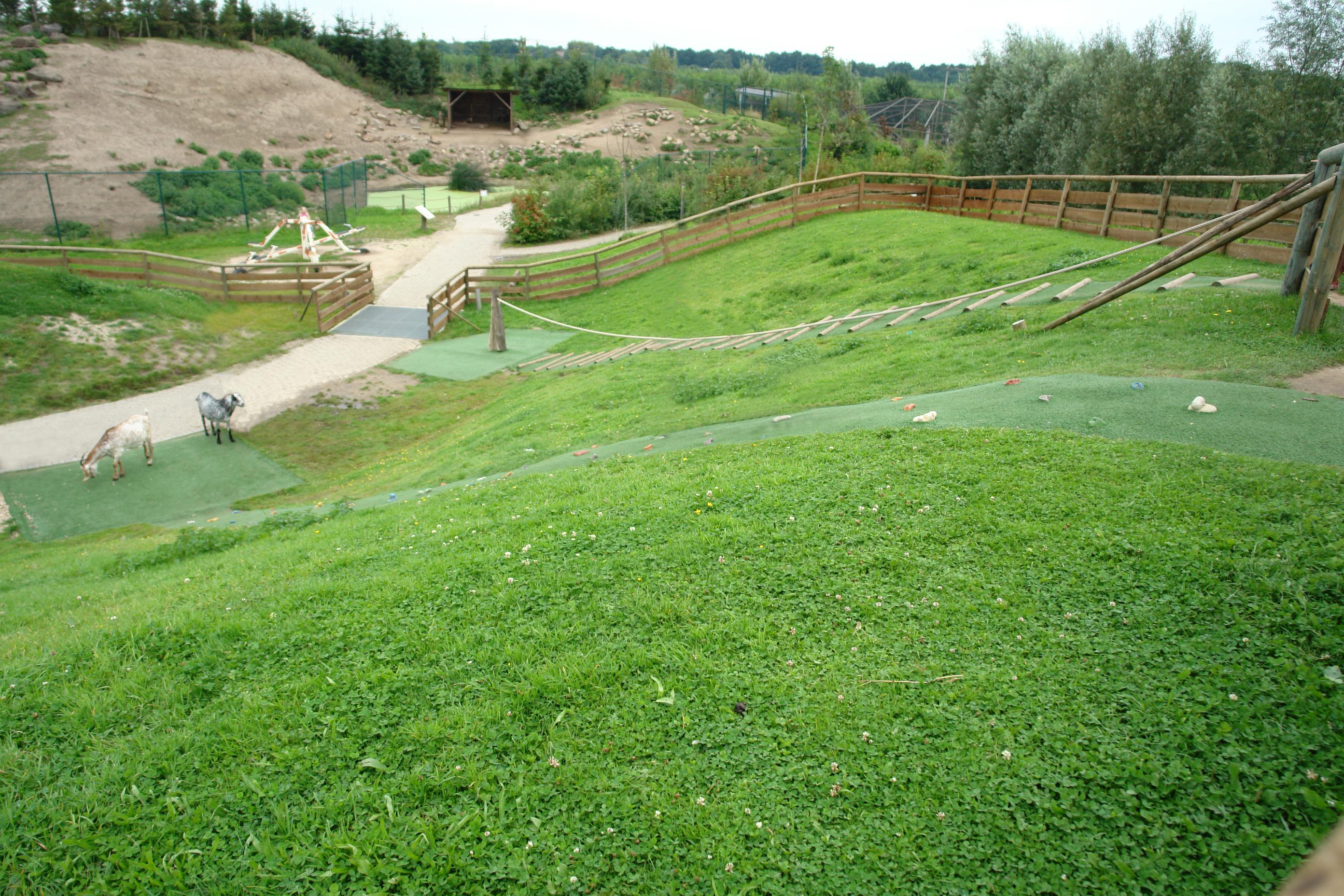 Dierenrijk Europa