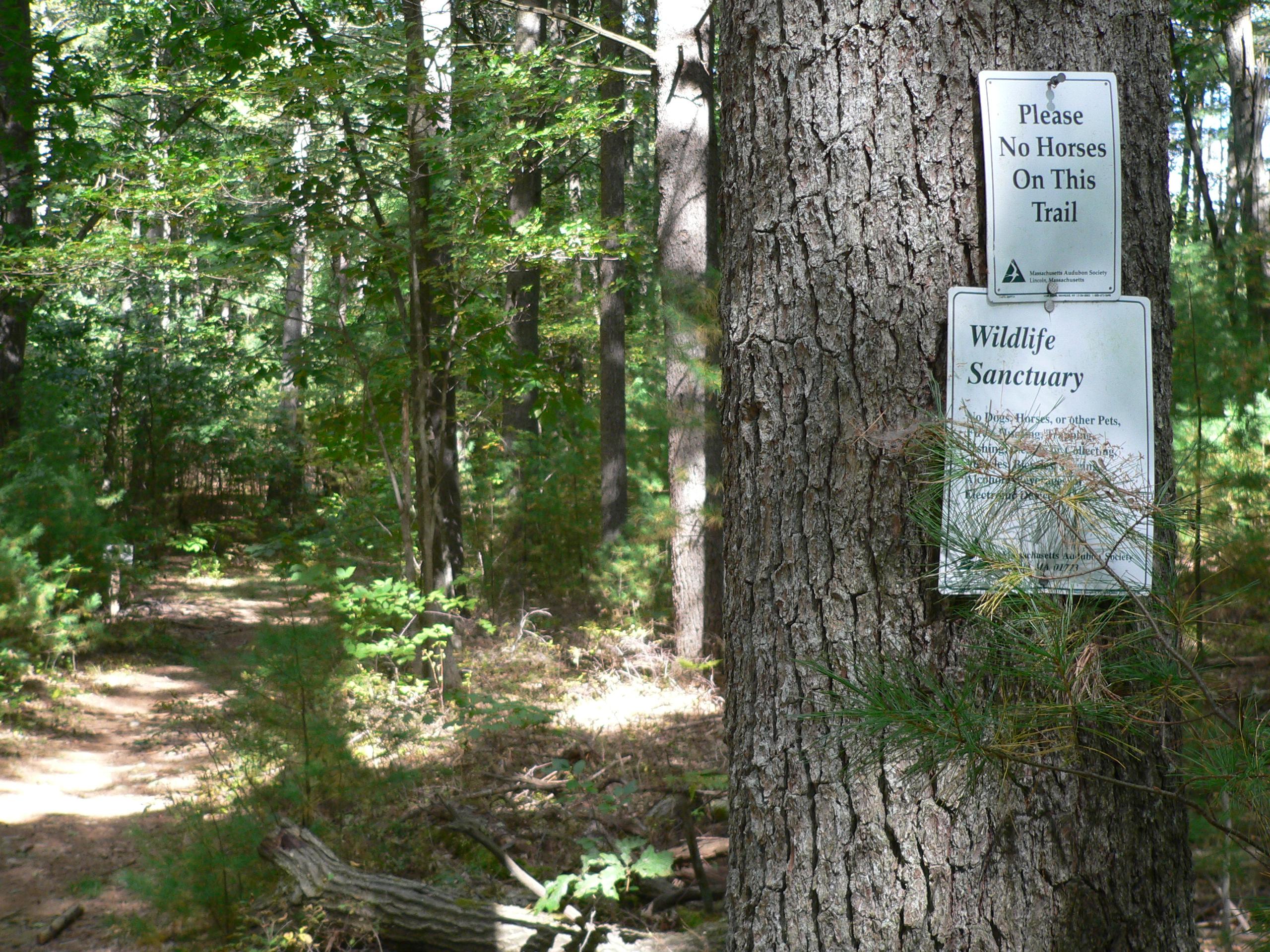 Nashoba Brook Wildlife Sanctuary