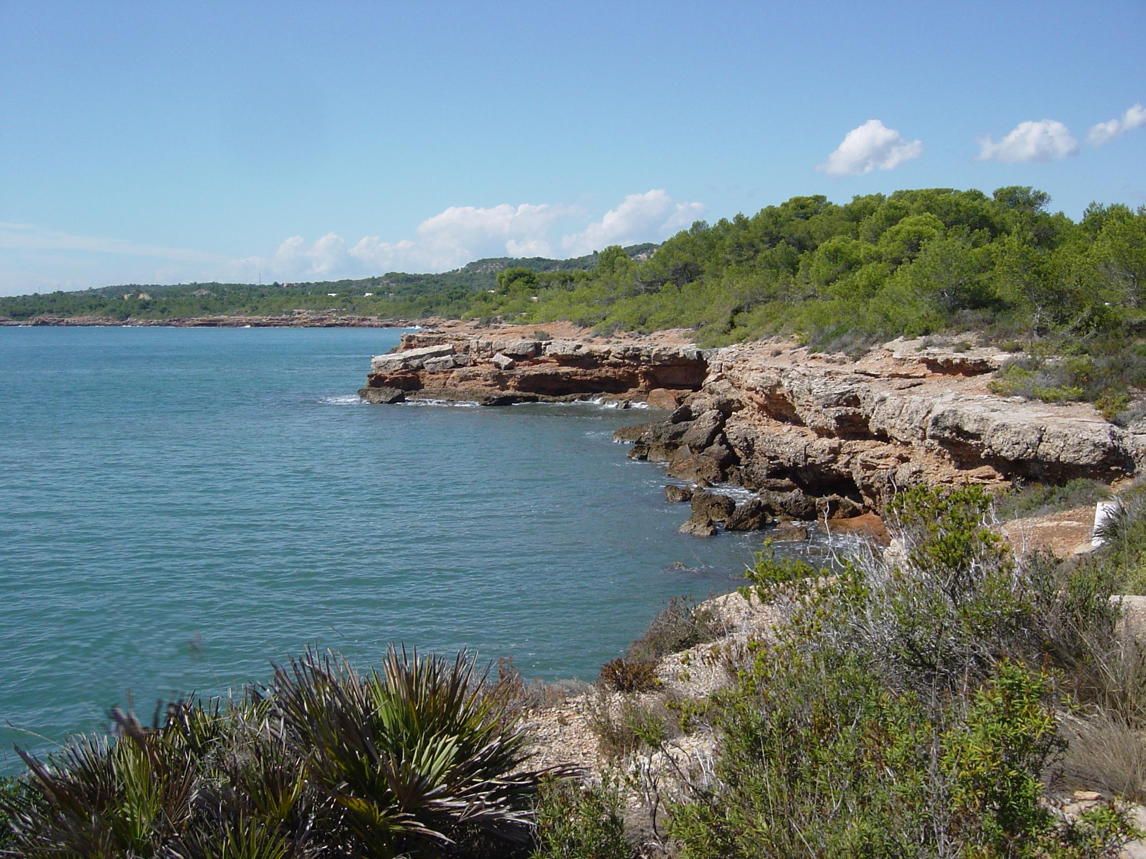 Cap de Santes Creus