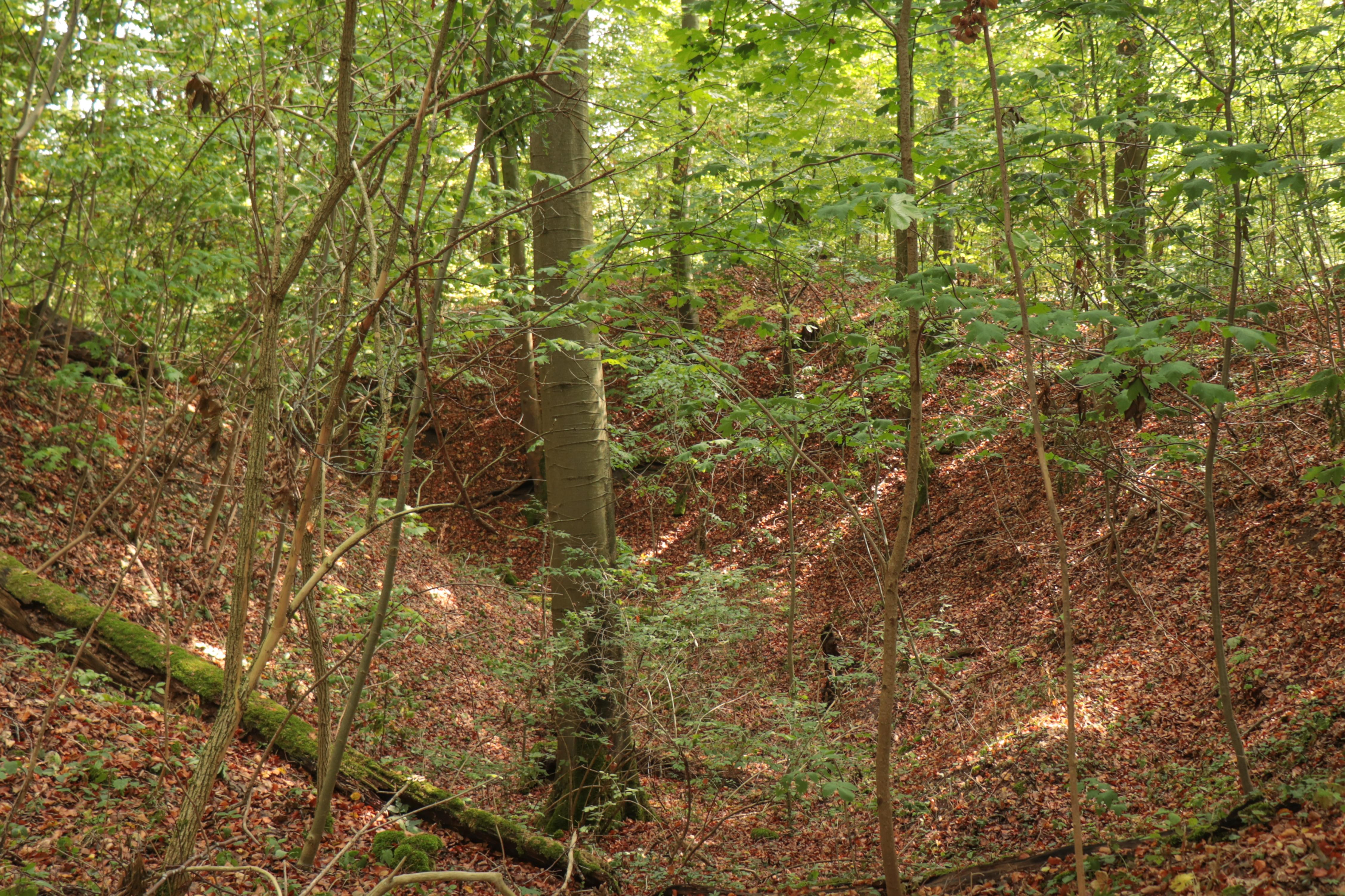 Burg Endsee