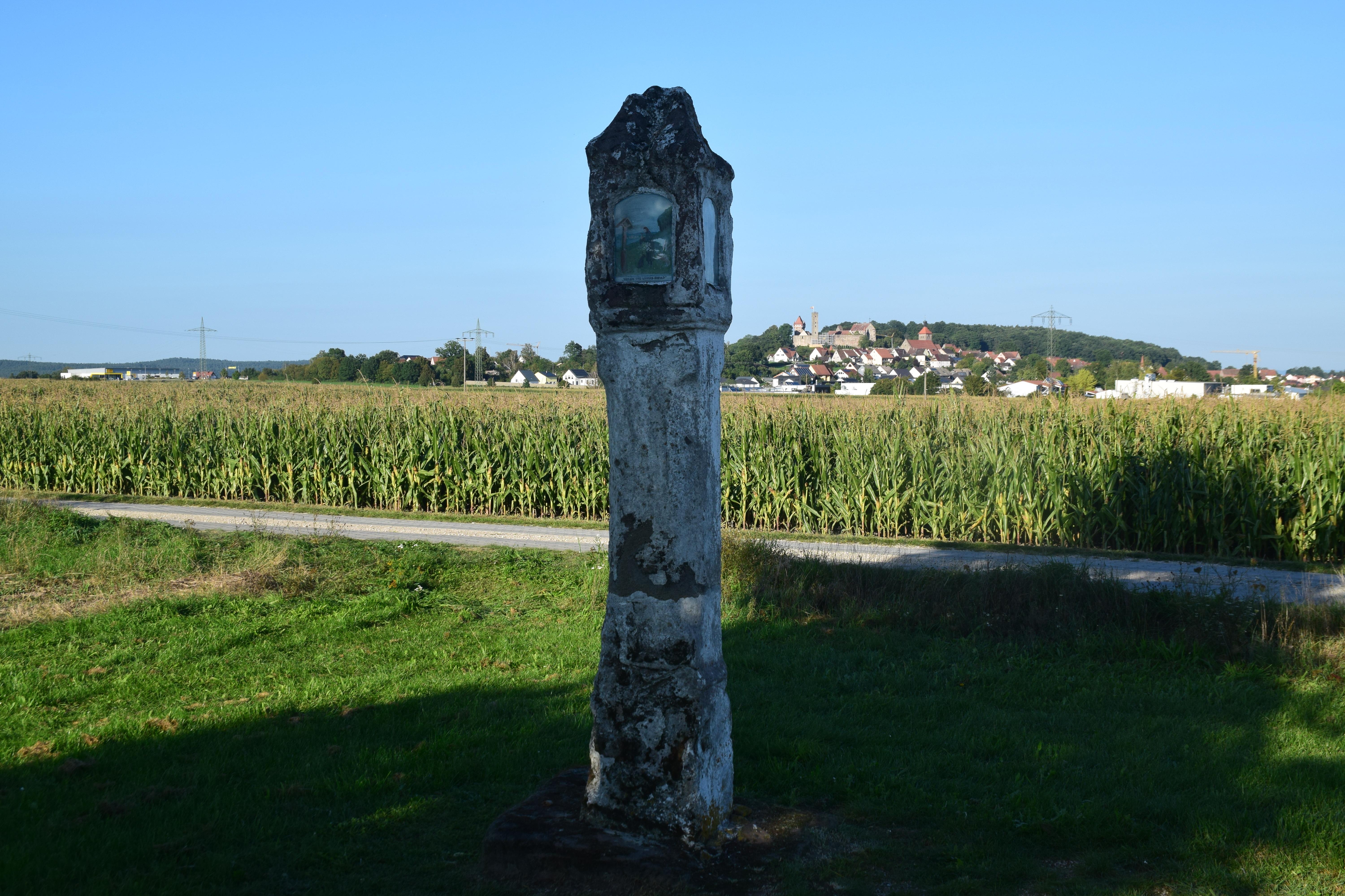 Weisse Saule