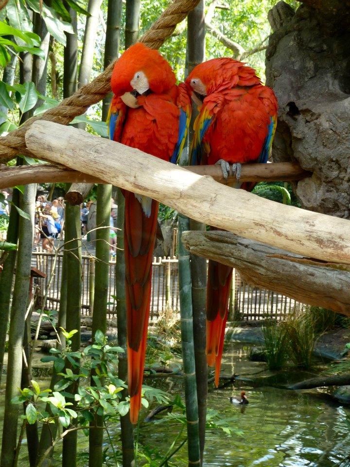 The Oasis Exhibits