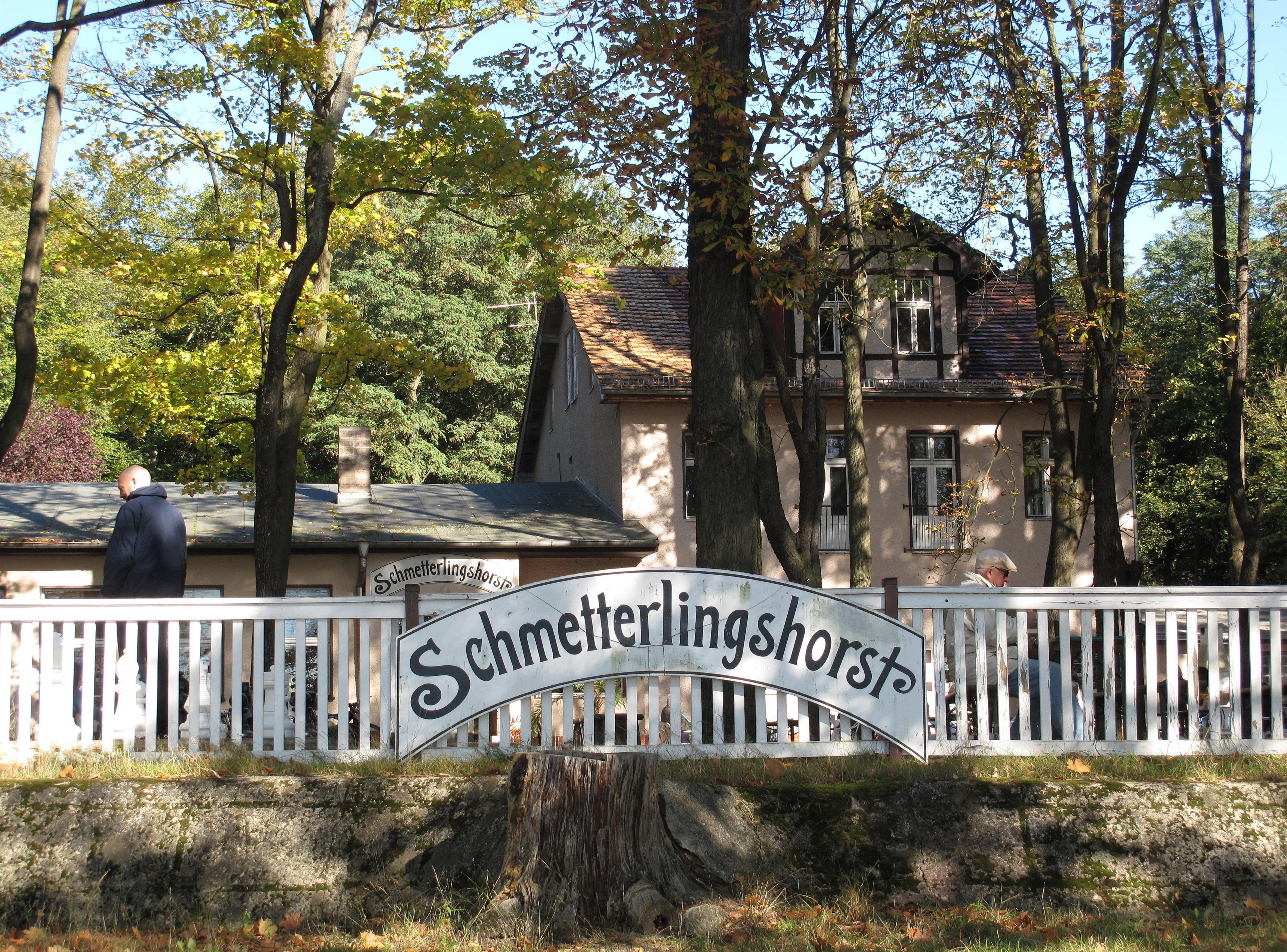 Schmetterlingshorst