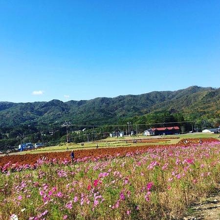 Estación de esquí Hirugano Kogen