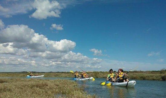 South Kayak