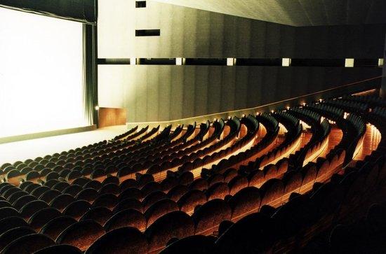 Multiplex Arcadia