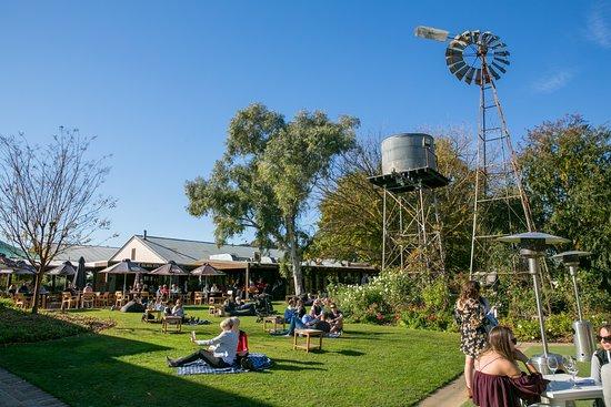 Brown Brothers Milawa Vineyard