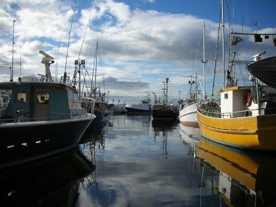 Royal Hobart