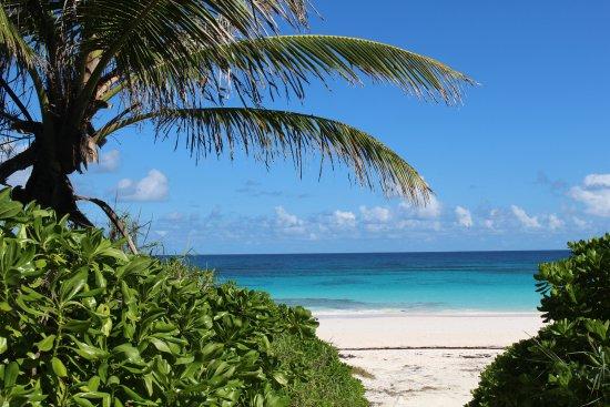 Pink Sands Beach