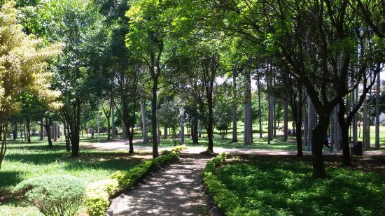 Parque Ecológico Professora Lydia Natalízio Diogo