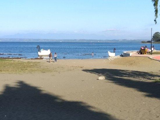 Playa Los Cisnes