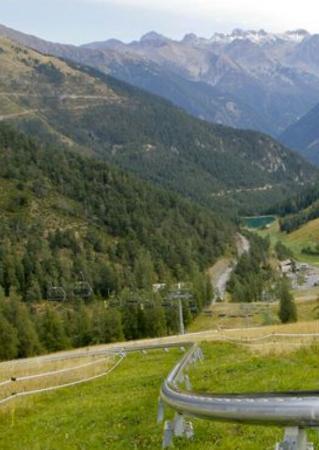 Luge d'été