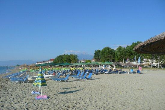 Plaża Olympic