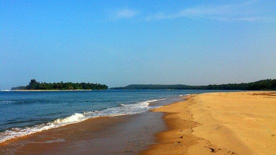 Strand van Tarkarli