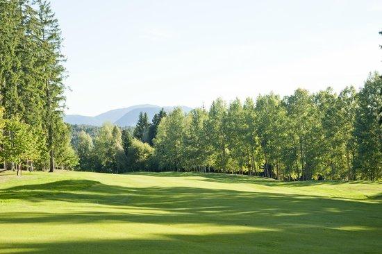 Petersberg Golf