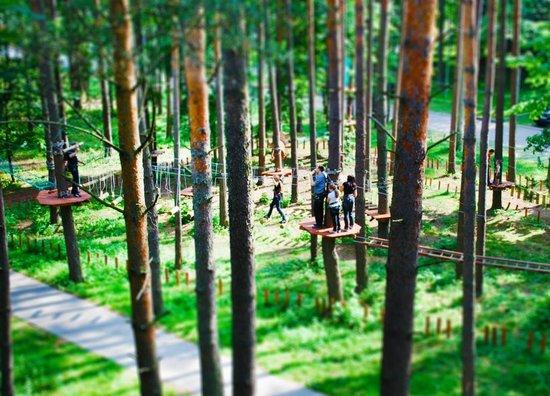 Park One Adventure