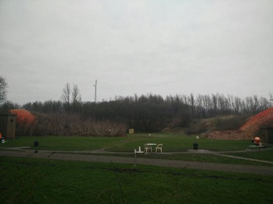 Dorhout Mees