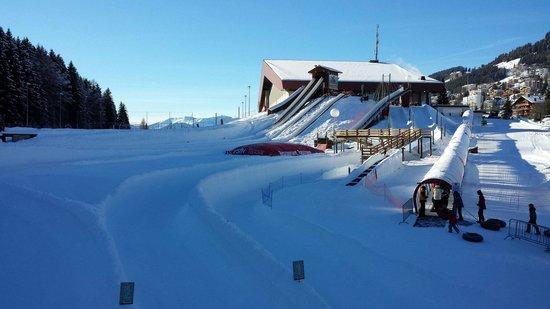 Tobogganing Park
