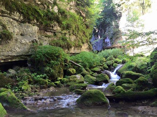 Twannbachschlucht