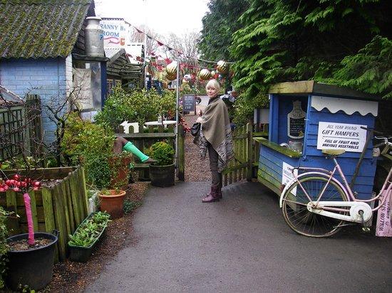 Fanny's Farm Shop