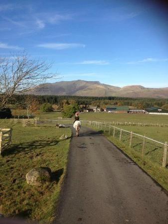 Rookin House Activity Centre