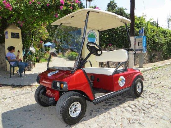 Lake Chapala Golf Carts