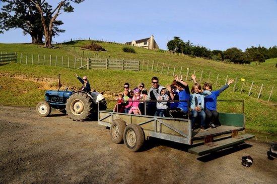 Kiwi Valley Farm Park and Maze