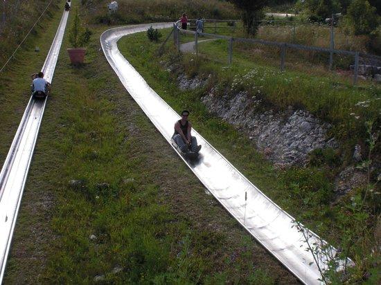 Toboggan