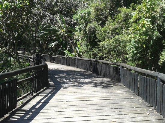 Park Chico Mendes