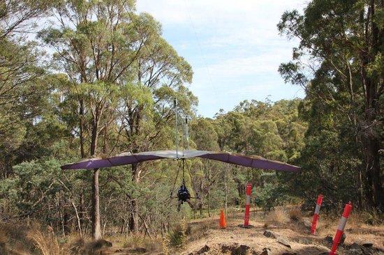 Cable Hang Gliding Australia