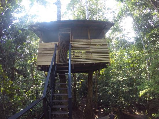 Reserva Natural Omagua