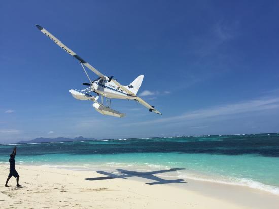 Turtle Airways
