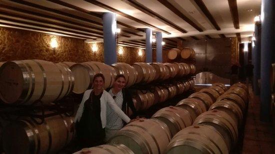 Bodegas Toribio