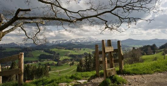 Eggen Hohenweg