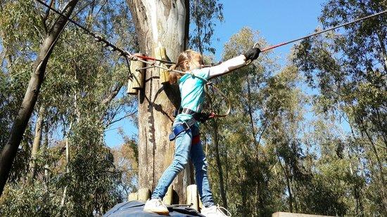 Acrobranch Centurion