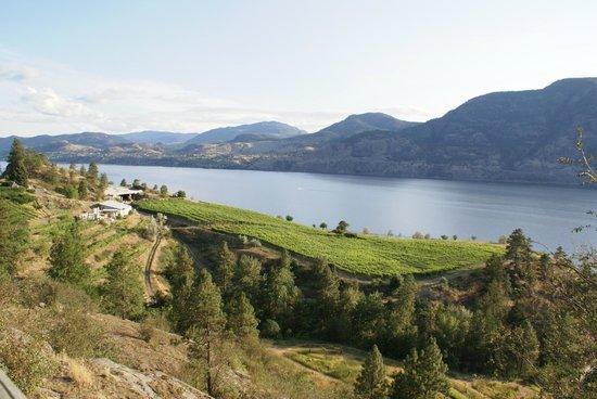 Pentage Winery
